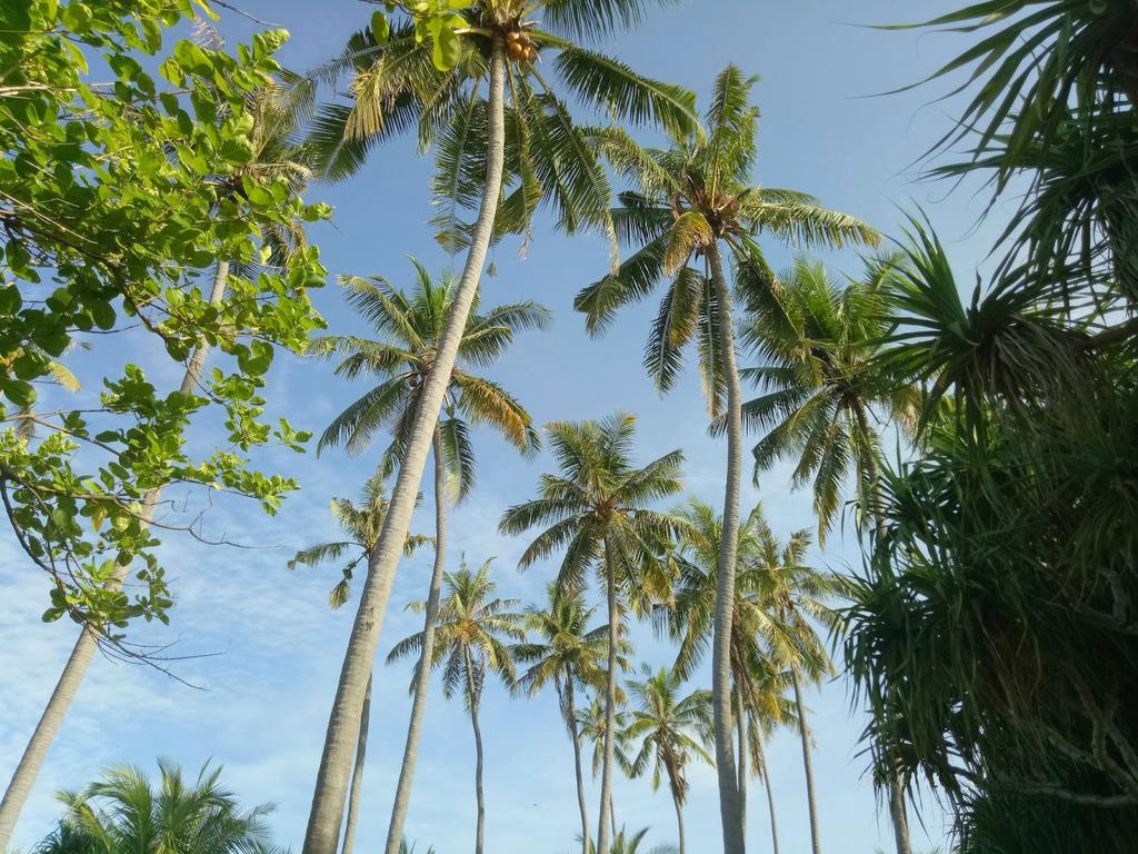 Puri Saron Senggigi Hotel מראה חיצוני תמונה